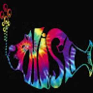 Meet your Posher, Ari